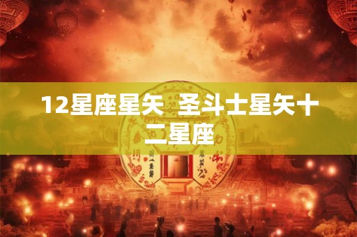 12星座星矢  圣斗士星矢十二星座