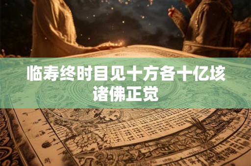 临寿终时目见十方各十亿垓诸佛正觉
