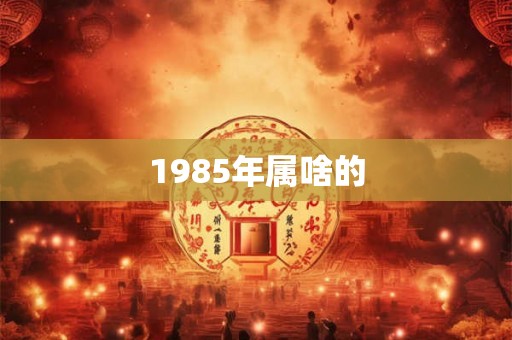 1985年属啥的 1985年属啥的