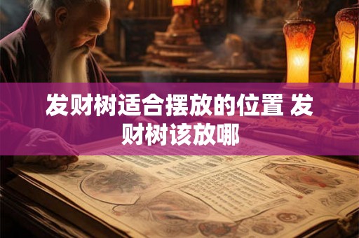 发财树适合摆放的位置 发财树该放哪