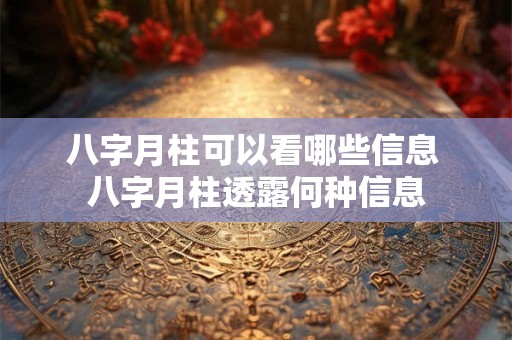 八字月柱可以看哪些信息 八字月柱透露何种信息