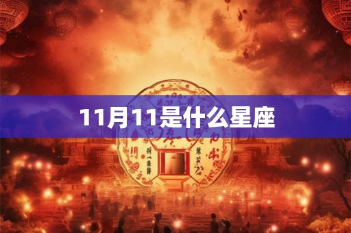 11月11是什么星座