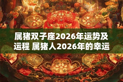 属猪双子座2026年运势及运程 属猪人2026年的幸运色 属猪双子座2026年运势及运程 属猪人2026年的幸运色