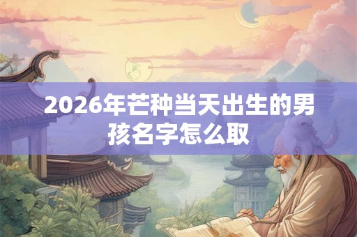 2026年芒种当天出生的男孩名字怎么取