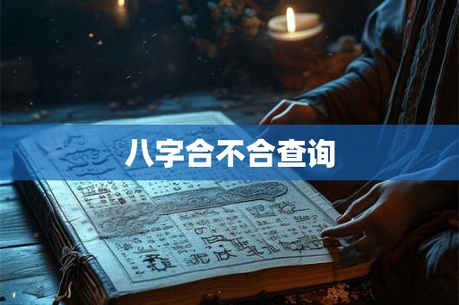 八字合不合查询