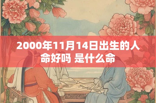 2000年11月14日出生的人命好吗 是什么命