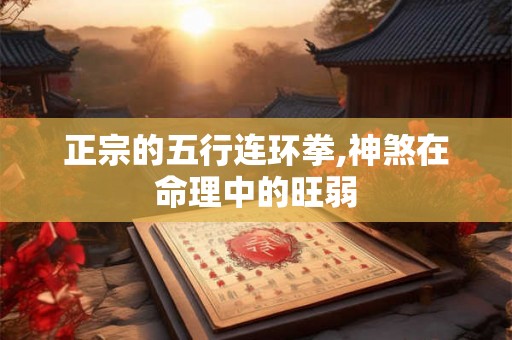 正宗的五行连环拳,神煞在命理中的旺弱 正宗的五行连环拳,神煞在命理中的旺弱
