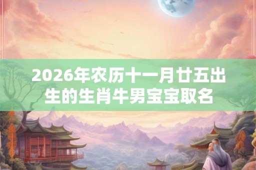 2026年农历十一月廿五出生的生肖牛男宝宝取名