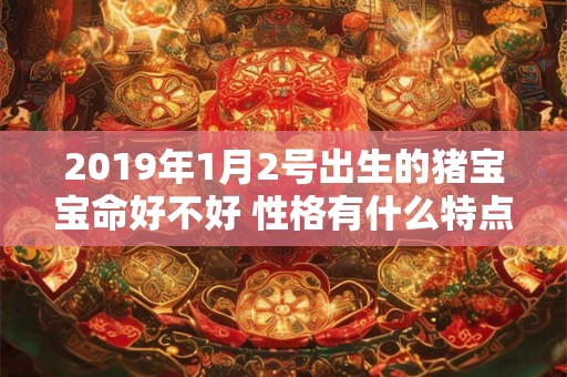 2019年1月2号出生的猪宝宝命好不好 性格有什么特点