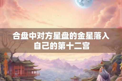 合盘中对方星盘的金星落入自己的第十二宫