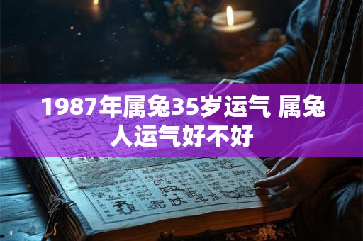 1987年属兔35岁运气 属兔人运气好不好