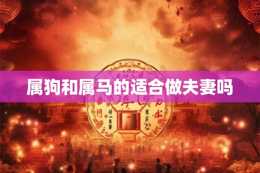 属狗和属马的适合做夫妻吗