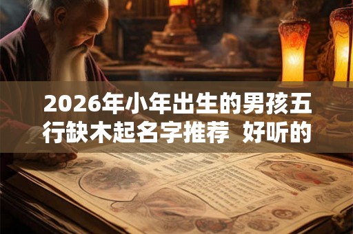 2026年小年出生的男孩五行缺木起名字推荐  好听的