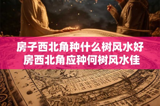 房子西北角种什么树风水好 房西北角应种何树风水佳