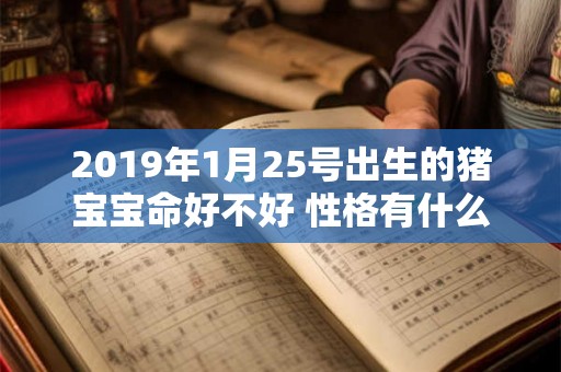 2019年1月25号出生的猪宝宝命好不好 性格有什么特点