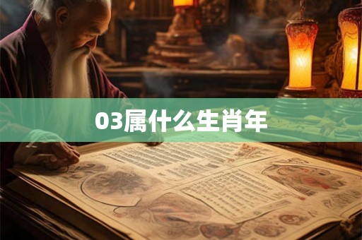 03属什么生肖年