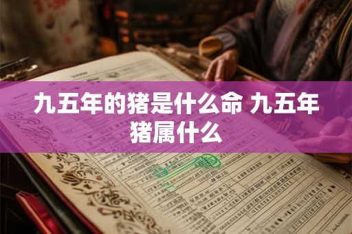 九五年的猪是什么命 九五年猪属什么 九五年的猪是什么命 九五年猪属什么