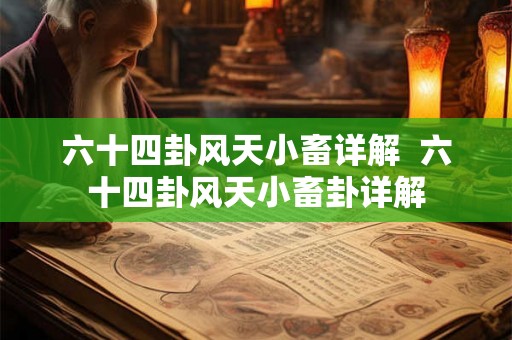 六十四卦风天小畜详解  六十四卦风天小畜卦详解