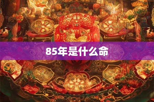 85年是什么命
