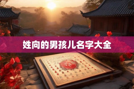 姓向的男孩儿名字大全