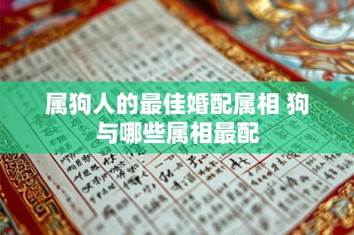 属狗人的最佳婚配属相 狗与哪些属相最配 属狗人的最佳婚配属相 狗与哪些属相最配
