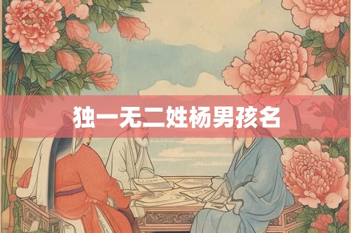独一无二姓杨男孩名
