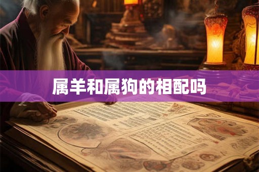 属羊和属狗的相配吗