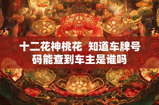十二花神桃花 知道车牌号码能查到车主是谁吗 十二花神桃花 知道车牌号码能查到车主是谁吗