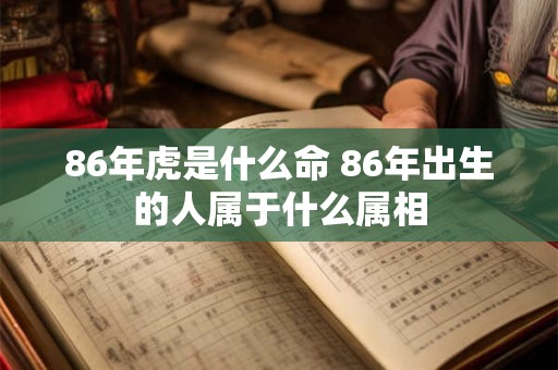 86年虎是什么命 86年出生的人属于什么属相