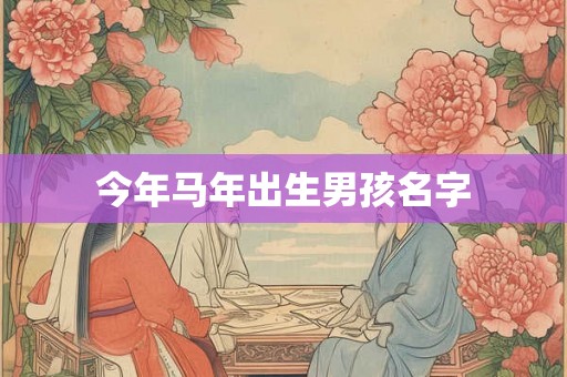 今年马年出生男孩名字