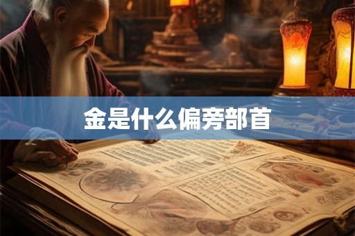 金是什么偏旁部首