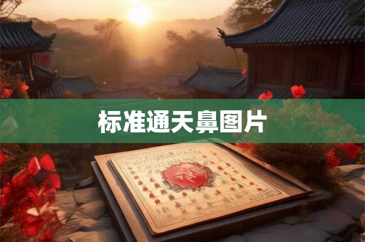 标准通天鼻图片
