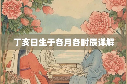丁亥日生于各月各时辰详解