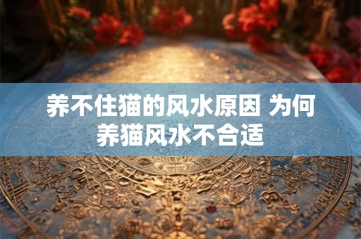 养不住猫的风水原因 为何养猫风水不合适