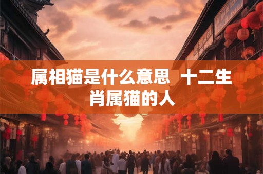 属相猫是什么意思  十二生肖属猫的人