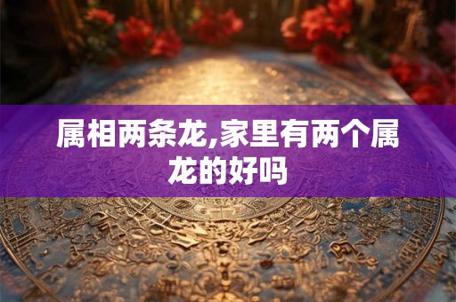 属相两条龙,家里有两个属龙的好吗