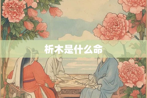 析木是什么命