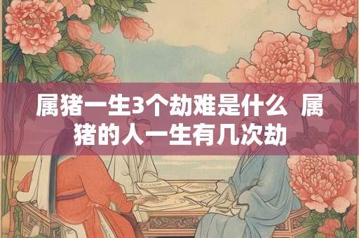 属猪一生3个劫难是什么  属猪的人一生有几次劫