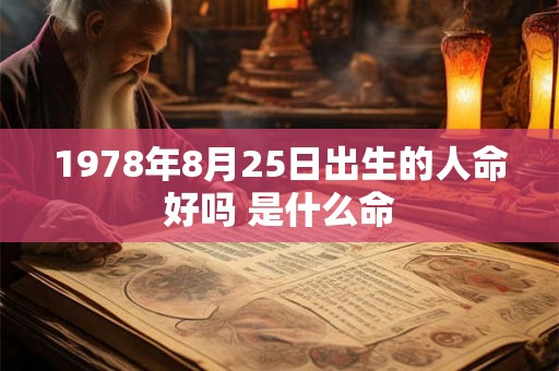 1978年8月25日出生的人命好吗 是什么命