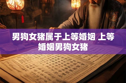 男狗女猪属于上等婚姻 上等婚姻男狗女猪