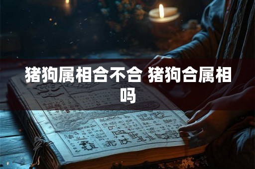 猪狗属相合不合 猪狗合属相吗
