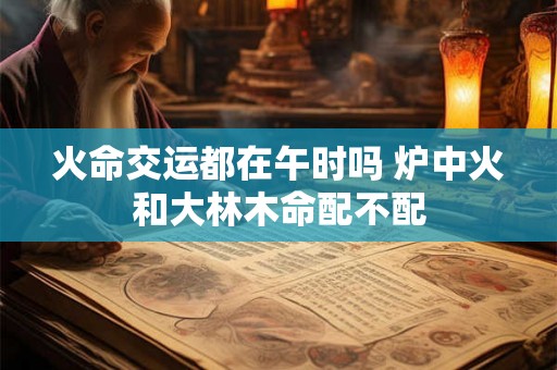 火命交运都在午时吗 炉中火和大林木命配不配