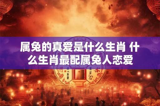 属兔的真爱是什么生肖 什么生肖最配属兔人恋爱