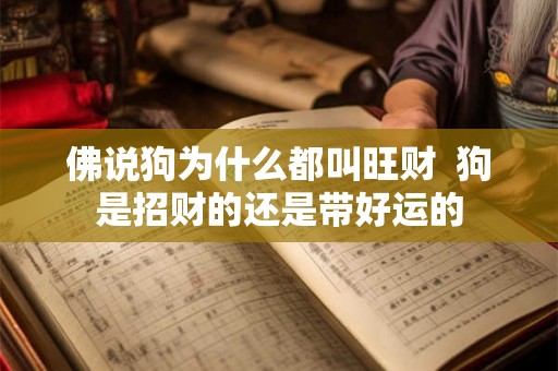 佛说狗为什么都叫旺财  狗是招财的还是带好运的