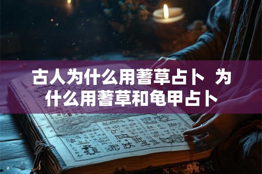 古人为什么用蓍草占卜  为什么用蓍草和龟甲占卜