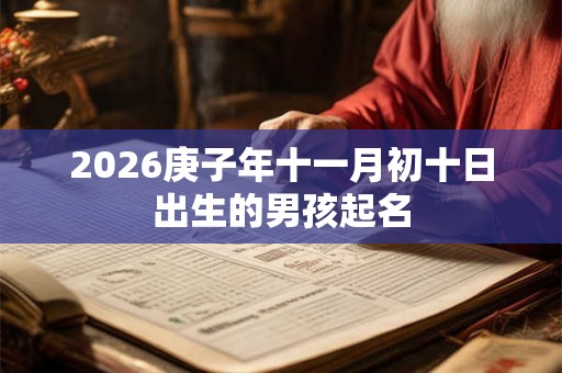 2026庚子年十一月初十日出生的男孩起名