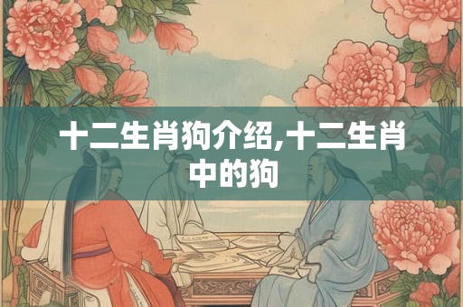 十二生肖狗介绍,十二生肖中的狗