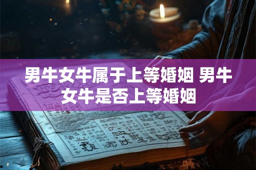 男牛女牛属于上等婚姻 男牛女牛是否上等婚姻