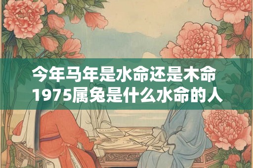 今年马年是水命还是木命 1975属兔是什么水命的人 今年马年是水命还是木命 1975属兔是什么水命的人