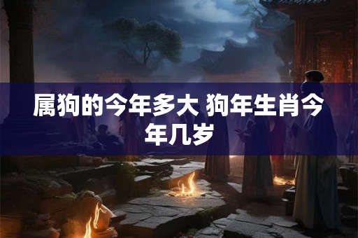 属狗的今年多大 狗年生肖今年几岁